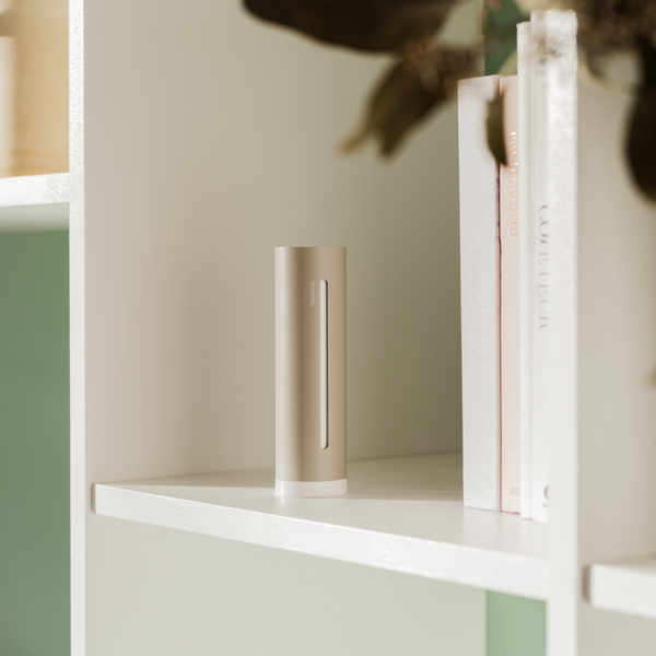 Weather Station ORIGINAL Sand and Shield Pack