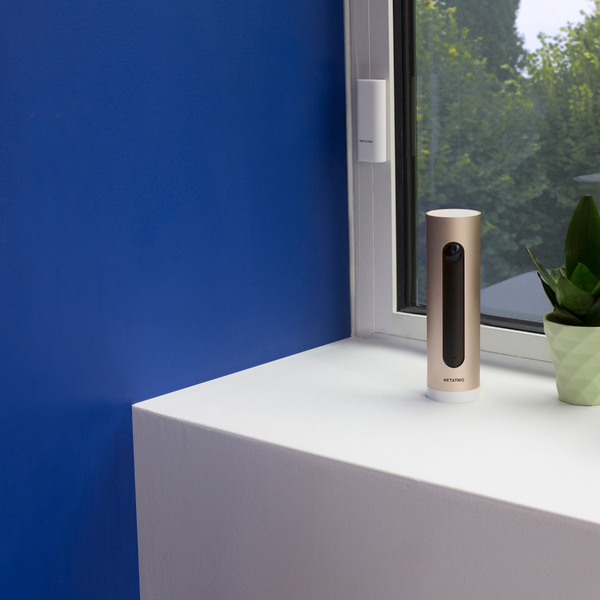 Smart Indoor Camera + Smart Door and Window Sensors Pack